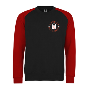 District 13 Baseball Sweatshirt